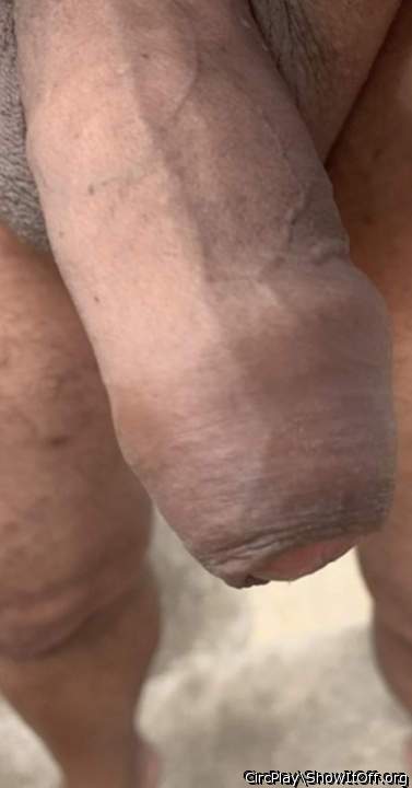 Photo of a bald-headed mouse from CircPlay