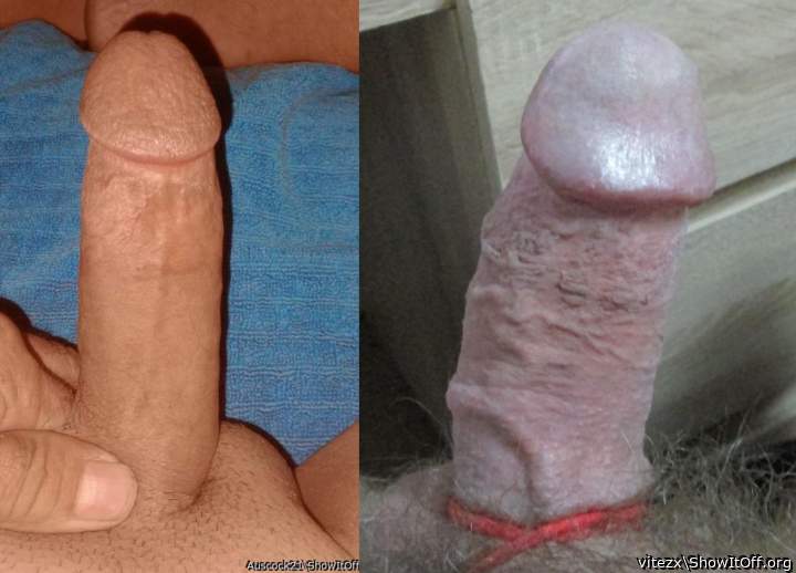 Two cocks