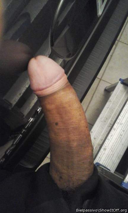 Photo of a pecker from BielPassivo