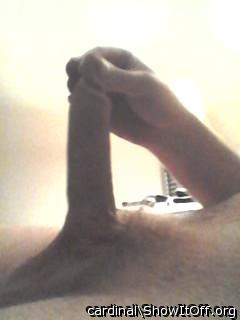 Photo of a pecker from cardinal