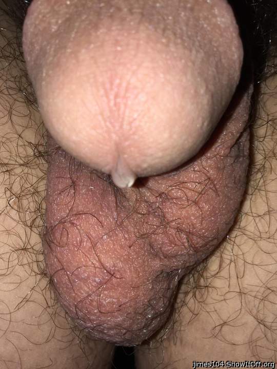 Photo of a ram rod from jimes104