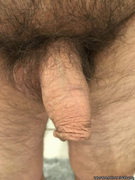 Photo of a horn from zebraboy