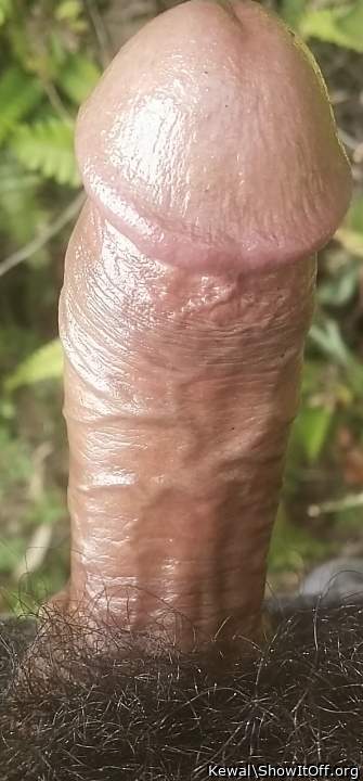 Lovely cock...!  