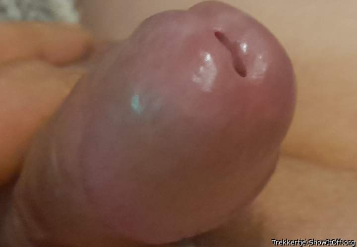 Photo of a pecker from Trekkertje