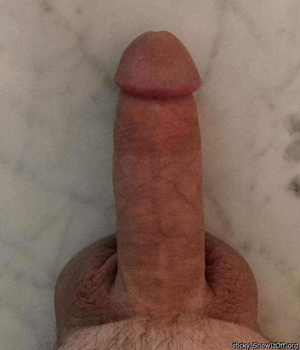 Photo of a lizard from sticky
