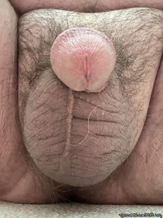 Adult image from cjsims