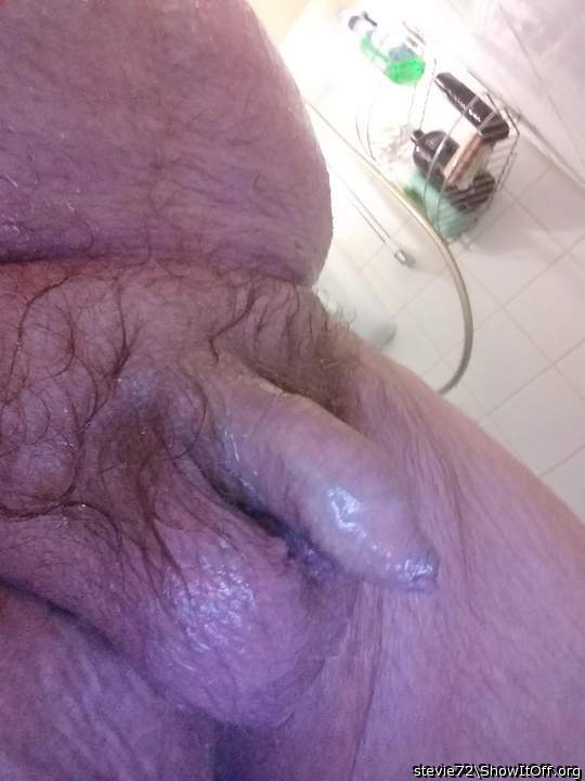 Photo of a bat from stevie72