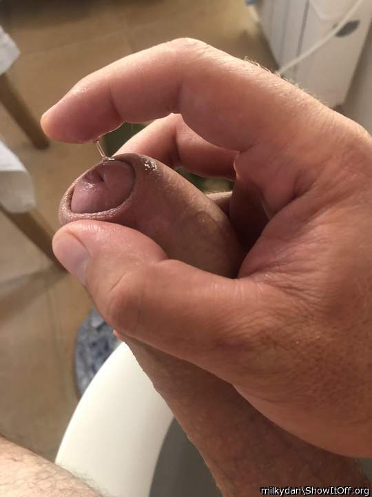 Photo of a middle leg from milkydan
