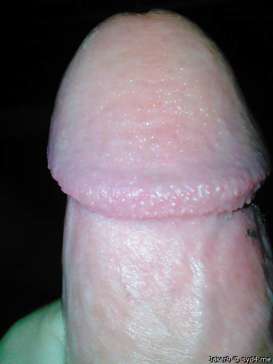 Photo of a dong from Jaker9