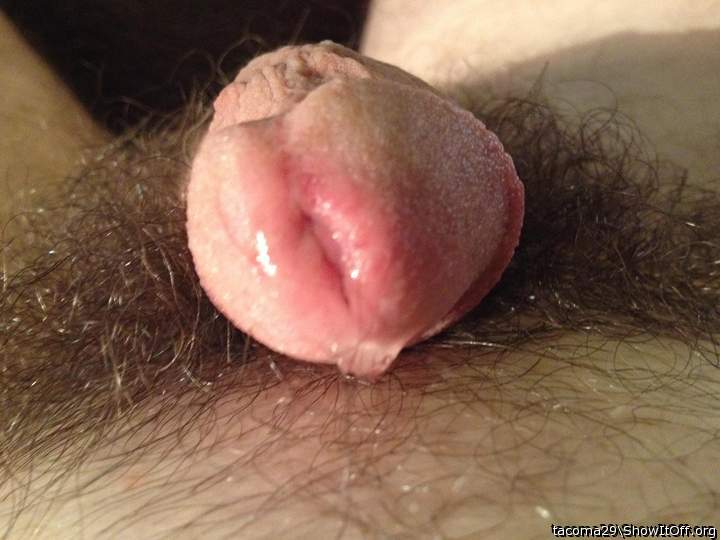 Do you love the taste of sweet pre-cum?