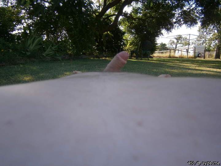 Photo of a weasel from 450