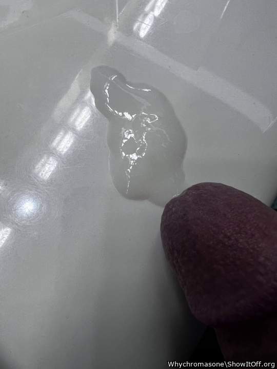 Photo of a middle leg from Whychromasone
