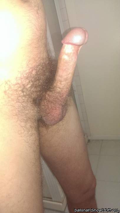 A beautiful circumcised cock and big balls!  