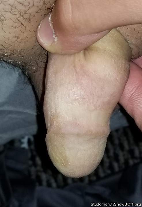Photo of a wiener from Studdman7