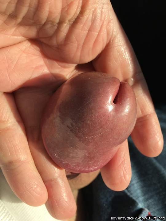 Photo of a private part from ilovemydick