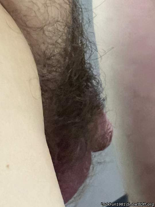 Photo of a equipment from DickFun1981