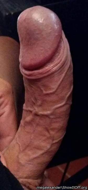 Fresh One