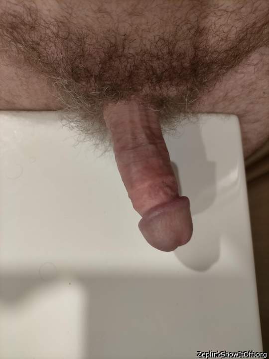 Photo of a horn from Zeplin