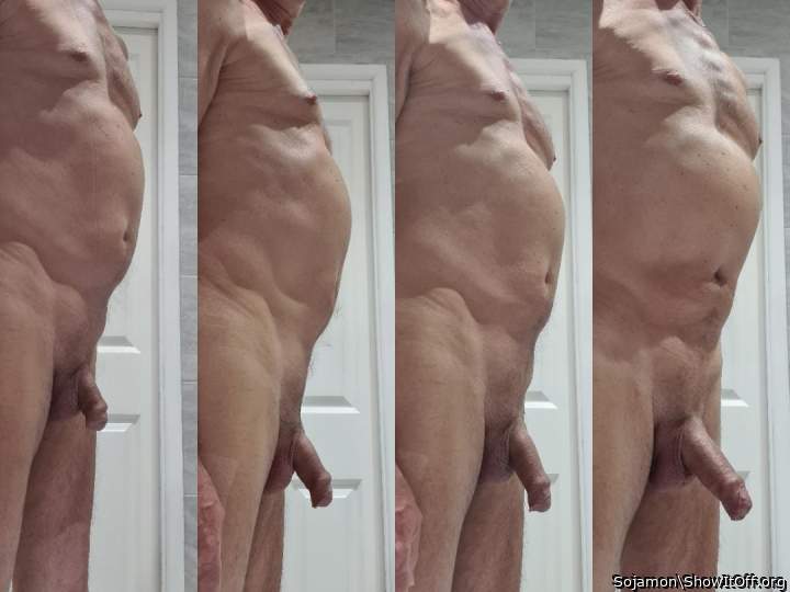 Photo of a middle leg from Sojamon
