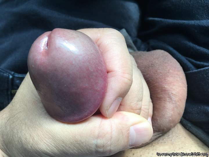 Photo of a cavalier from ilovemydick