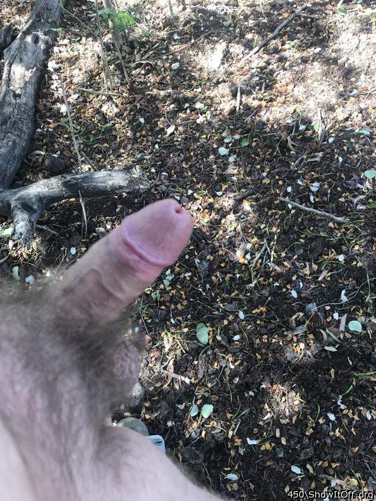 Photo of a third leg from 450