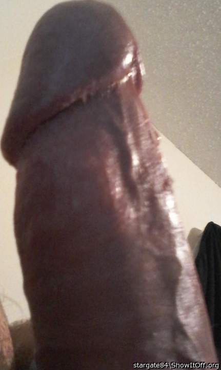 Photo of a short leg from stargate84