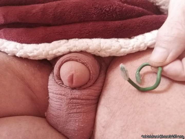 This piece of rubber coated wire, keeps my foreskin from covering my cock head