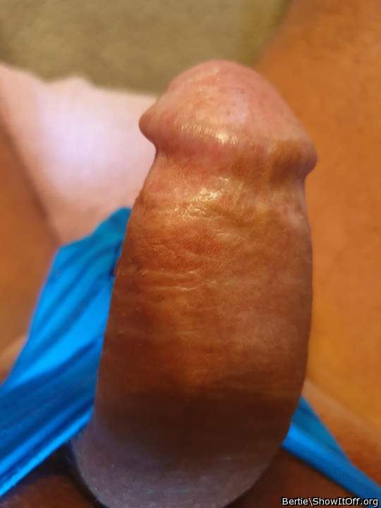 Photo of a horn from Bertie