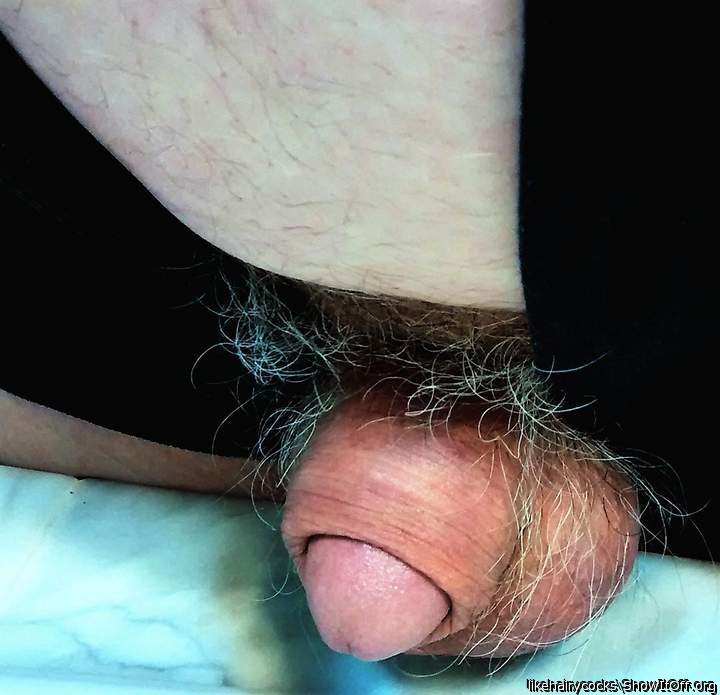 my hairy cock 8