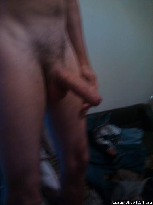 Photo of a short leg from taurus