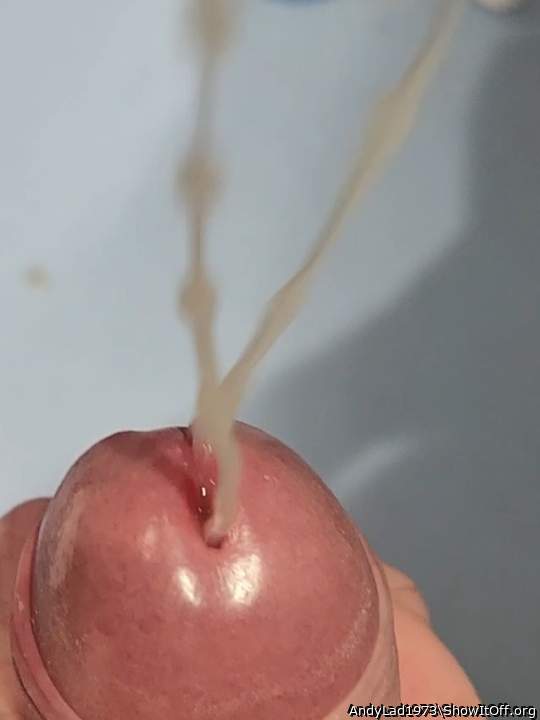 Looks delicious