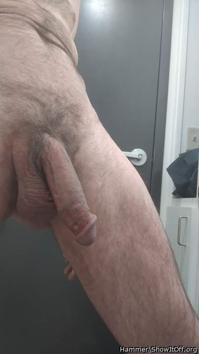 Photo of a schlong from Hammer