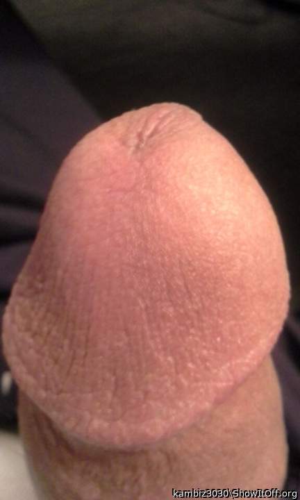 Photo of a snake from kambiz3030