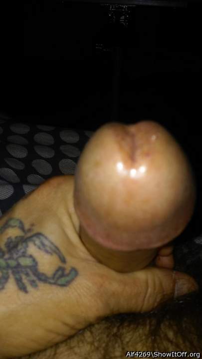 Photo of a penis from Alf4269