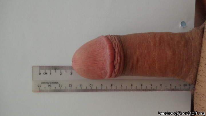 Photo of a middle leg from benchong