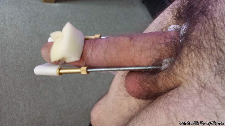 Photo of a pecker from xander69