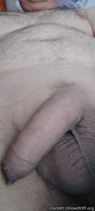 Photo of a rooster from man681