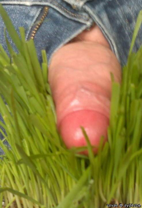 very nice fresh clean penis favorote delicious 