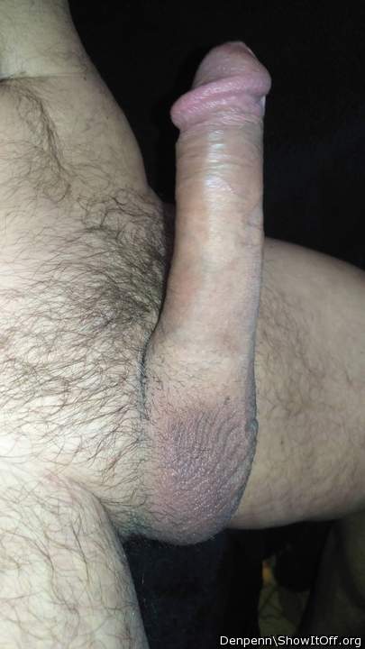 Photo of a cock from Denpenn