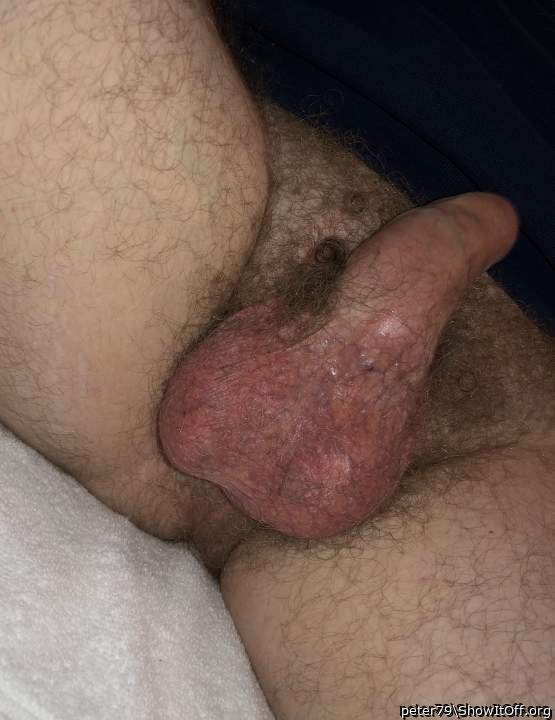 Photo of a third leg from peter79