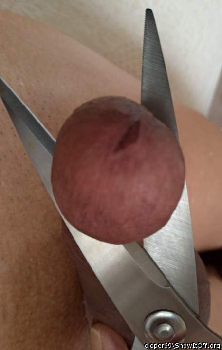 Photo of a boner from oldper69