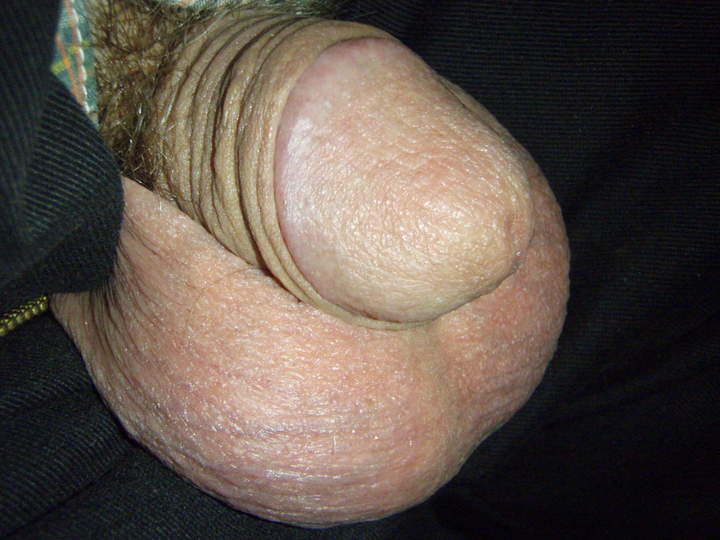 Photo of a weasel from lilsoftee