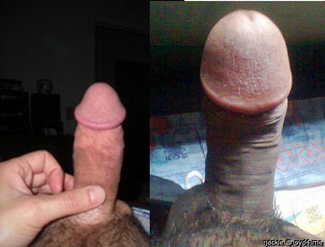 My dick Vs sdalex