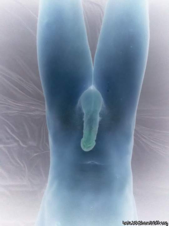 Photo of a drain pipe from bela36