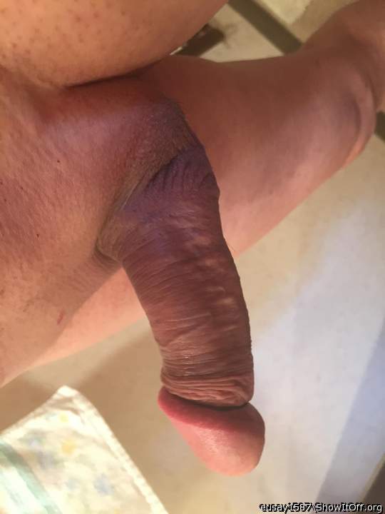 Photo of a drain pipe from eusay1587