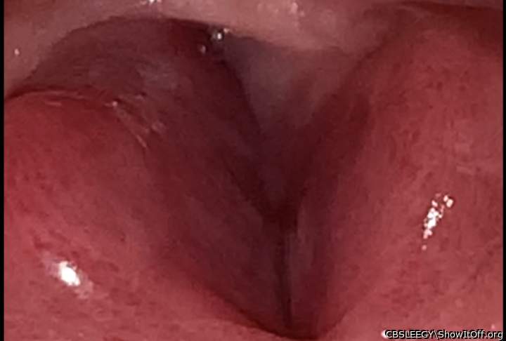Photo of a meat stick from CBSLEEGY