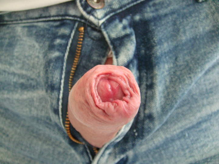 Photo of a third leg from sivad666