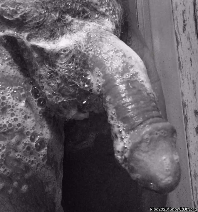 Photo of a pecker from Pibo2020