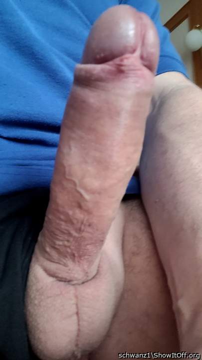 Photo of a stiffie from schwanz1