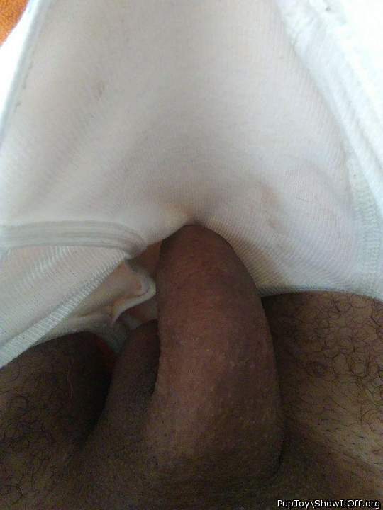Photo of a cock from PupToy